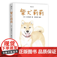柴犬莉莉 后浪正版 灾后忠狗忍饥挨饿苦寻主人爱与忠诚故事儿童动物主题亲子绘本睡前故事书籍书排行榜北京联合出版公司