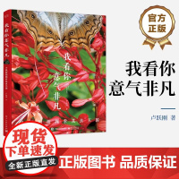 正版 我看你意气非凡 手机街拍探索昆虫王国 微观世界手机拍摄书 博物学随笔 新闻纪实 街拍摄影手法 卢跃刚 电子工业出版