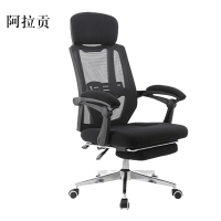 阿拉贡工作椅电脑椅人体工学升降转椅写字椅黑框黑网(无扶手款)