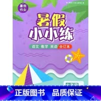 暑假小小练 七年级[2024版] 小学通用 [正版]可单选暑假作业 暑假小小练 一二三四五六年级 1/2/3/4/5/6