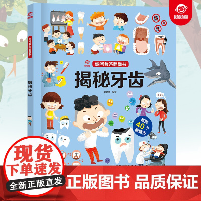 呦呦童正版 你问我答翻翻书揭秘牙齿 0-3-6岁儿童秒懂牙齿口腔小百科 益智早教认知科普逻辑思考趣味阅读幼儿园小宝宝故事