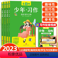 [共4册]2023年意林少年习作系列 [正版]共4册2023年意林少年习作系列 16周年少年版作文素材写作技巧小学初