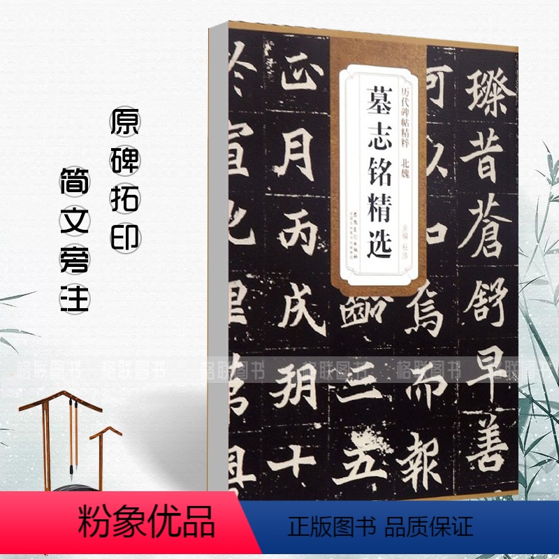 [正版]满2件减2元北魏墓志铭精选历代碑帖精粹杜浩元桢司马昞和妻孟敬训元显俊崔敬邕李壁张黑女张黑女毛笔书法练字帖安徽美