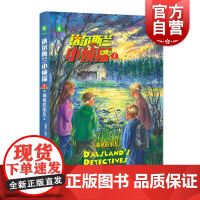 正版 达尔斯兰小侦探1神秘的朋友 瑞典知名作家皮娅哈格玛20年作品 悬疑推理 励志成长 侦探小说书 上海文艺出版