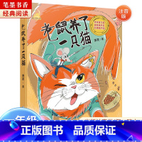 《童话梦工场:老鼠养了一只猫》-浙江少年儿童出版社 [正版]童话梦工场老鼠养了一只猫注音版浙江少年儿童出版社阅美湖湘山西