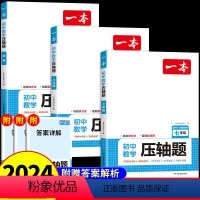 一本初中数学压轴题 七年级/初中一年级 [正版]2024 初中数学压轴题人教版 七八九年级中考必刷题初一上册下册同步练习