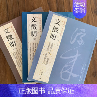 [3本套装]文征明一二三 [正版]苏轼颜真卿褚遂良白蕉王羲之赵孟頫米芾邓石如伊秉绶黄庭坚怀素王铎文徵明历代名家书法经典系