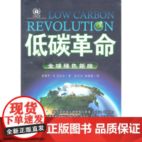 低碳革命:全球绿色新政