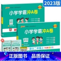 [大部分客户的选择]二年级上册语数 小学二年级 [正版]2024新版小学学霸冲A卷二年级上册下册语文数学人教版 pass