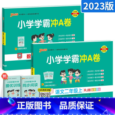 [大部分客户的选择]二年级上册语数 小学二年级 [正版]2024新版小学学霸冲A卷二年级上册下册语文数学人教版 pass