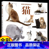 经典科普图鉴系列-猫 [正版]经典科普图鉴系统-猫 猫科动物介绍认知 品种的详图介绍彩图