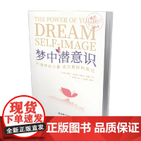 梦中潜意识 利用梦的力量 成为更好的自己 伊姆兰·赫瓦贾等 著 心理学