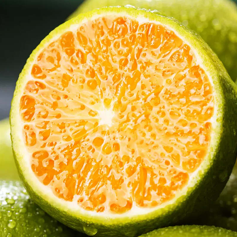 [熊猫鸟]正宗云南冰糖橙 净重9斤 大果 单果70mm左右 哀牢山新鲜应季水果