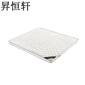 昇恒轩 床垫 200*100*8cm 张