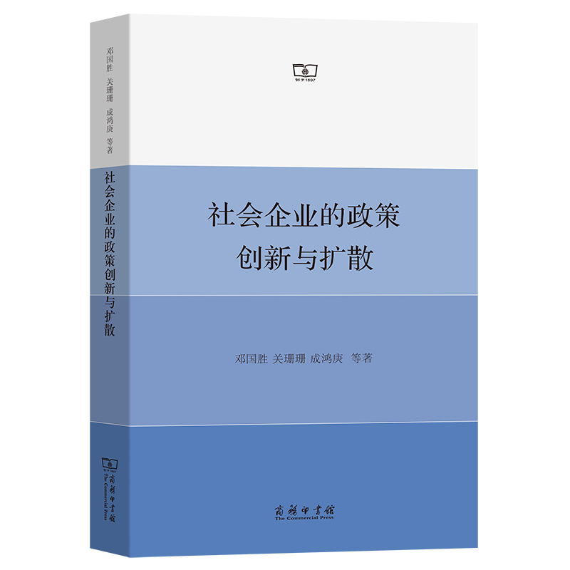 音像社会企业的政策创新与扩散邓国胜 关珊珊 成鸿庚 等著