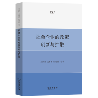 音像社会企业的政策创新与扩散邓国胜 关珊珊 成鸿庚 等著