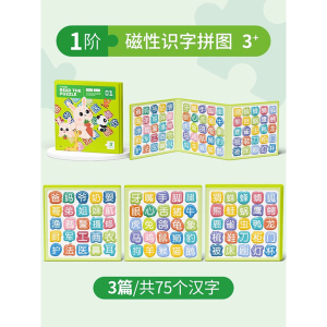宝宝幼儿磁性识字拼图拼板磁力汉字认字3到6岁儿童早教男女孩玩具