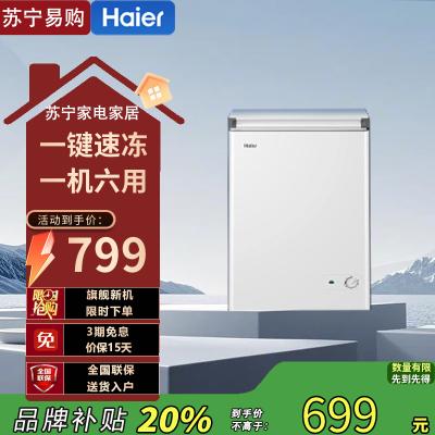 Haier/海尔 BC/BD-100GHW9D 卧式冷柜