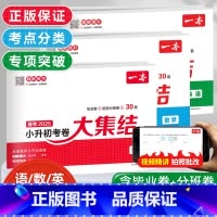 语文+数学+英语[3册套装] 小学升初中 [正版]2025新版小升初冲刺新卷语文数学英语全国通用名校冲刺小学生升初中总复