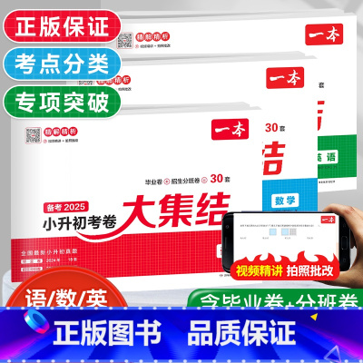 语文+数学+英语[3册套装] 小学升初中 [正版]2025新版小升初冲刺新卷语文数学英语全国通用名校冲刺小学生升初中总复