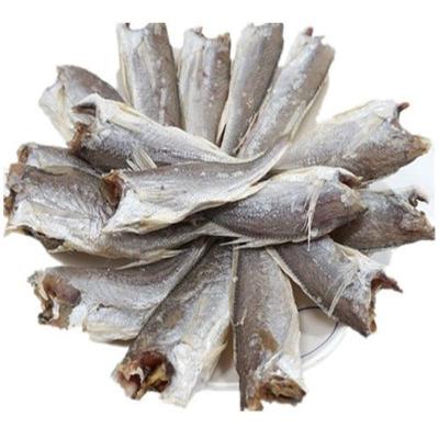 小黄鱼干渔家自晒小咸鱼干黄花鱼海鱼干海鲜干货批发500g(20条左右)