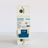 赛驰科技(SAICKG) SCK5-125/1 1P C100 低压空气开关 蓝白 (单位:台)