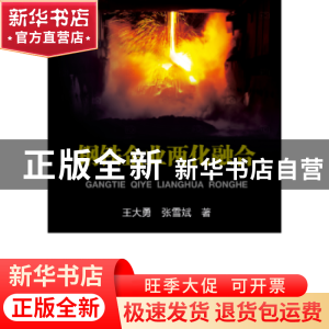 正版 钢铁企业两化融合 王大勇,张雪斌著 冶金工业出版社 978750