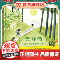 正版童书 去郊游 我们的自然探索之旅 奇想国童眸童书 给孩子的自然观察体验书 实践性极强 鼓励孩子在探索 感知