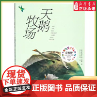 暑假读一本好书 天鹅牧场 黑鹤彩虹桥中国名家原创桥梁书 二三四五六小学生课外阅读书籍儿童动物小说故事图画书