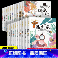 [全20册]国际大奖小说+推理探险+坚韧不拔系列 [正版]一年级阅读课外书二三年级课外阅读书籍故事书老师国际大奖小说注音