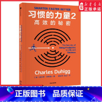 习惯的力量2:高效的秘密 [正版]习惯的力量2高效的秘密习惯的力量续篇拒绝996取得好业绩的的实操指南掌控习惯的力量让你