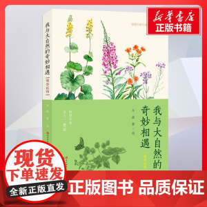 我与大自然的奇妙相遇 观察植物 年高著 儿童文学小学生课外阅读书籍正版6-7-8-9-10岁一年级二年级三年级四年级寒暑