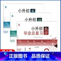 语文+数学+英语(全3册) 小学升初中 [正版]2023小升初系统总复习真题卷必刷题人教版复习资料模拟试卷小学毕业总复习
