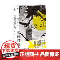 天使降临之塔 里卡多 著 小说