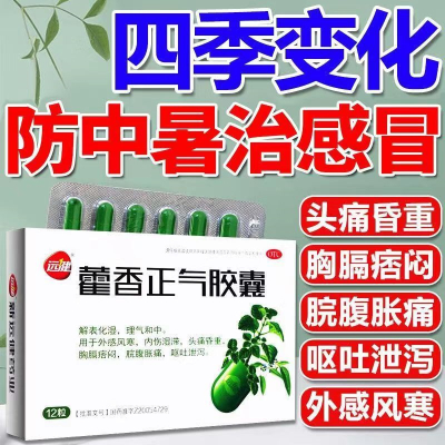[6盒装 公司装]远健藿香正气胶囊 用于外感风寒,内伤湿滞,头痛昏重,胸膈痞闷,脘腹胀痛,呕吐泄泻。