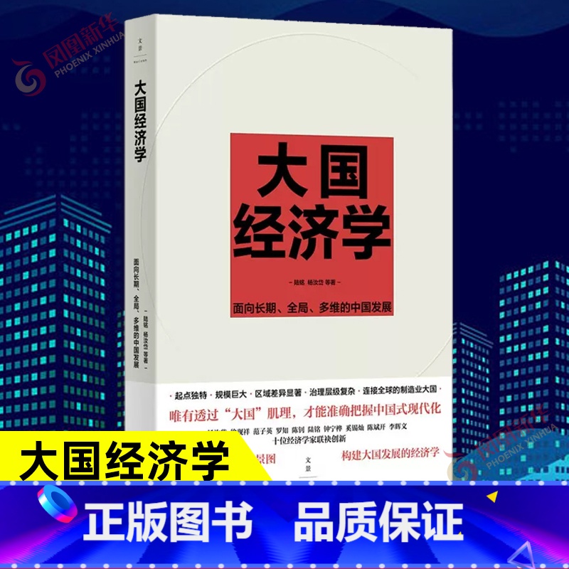 [正版] 大国经济学:面向长期、全局、多维的中国发展 陆铭 杨汝岱等著 系统解读中国经济的通识之作 经济长期发展转型 世