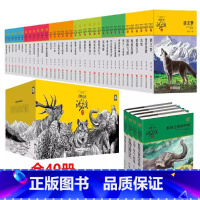 (全40册 )动物小说品藏书系+·军旅系列 [正版]狼王梦沈石溪动物小说大王品藏书系童书升级版全套36册任选斑羚飞渡第七