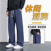 春秋纯色潮流休闲长裤男士宽松舒适显瘦百搭青年日常通勤直筒卫裤