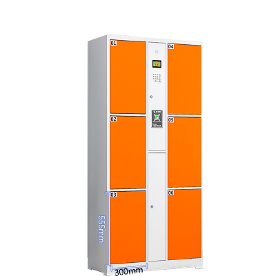 菲尔阿扎 PHIL ARZA 储物柜 智能存包柜6门/台