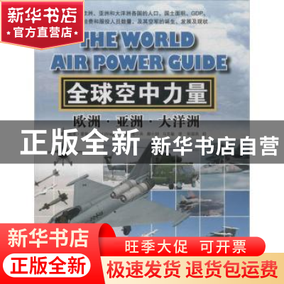 正版 全球空中力量:欧洲·亚洲·大洋洲 (英)戴维·雷格(David Wragg