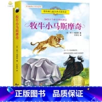 [正版]牧牛小马斯摩奇 纽伯瑞儿童文学奖名著9-15周岁儿童读物书小学生三四五六年级初中语文小学学校阅读物书籍