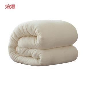 煊煜 全棉包布棉花被 XY-2 条