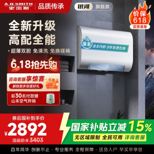 AO史密斯佳尼特家用电热水器60升 HTS免清洗免换镁棒 双胆速热HTS 一级能效 银河AIR