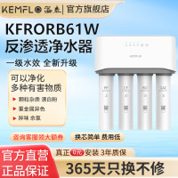 溢泰净水器100ab6升级款KR0100-RB61W