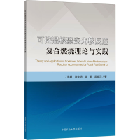 [M]可控温核聚变光核反应复合燃烧理论与实践-9787564654290