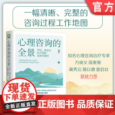正版 心理咨询的全景:评估、概念化和干预的实操与整合 唐芹 一幅清晰的心理咨询过程工作地图 心理咨询 阶段 个案 评