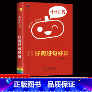 10作文好词好句好段 小学通用 [正版]2022版小红书小学语文数学英语基础知识大全口袋书英语单词书数学公式定律小学政治