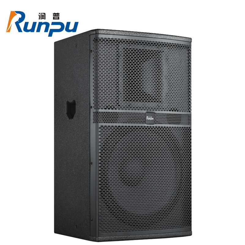 润普Runpu会议音频扩声系统专业双12英寸会议音箱无源音响礼堂会议室扩声音响设备RP-SY-XYC12