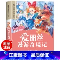 爱丽丝漫游奇境记 [正版]爱丽丝漫游奇境记彩图注音版小学生一年级阅读课外书必读老师语文基础阅读配套丛书二三年级带拼音经典