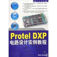 正版新书]Protel DXP电路设计实例教程王莹莹//汪东//晁阳978730